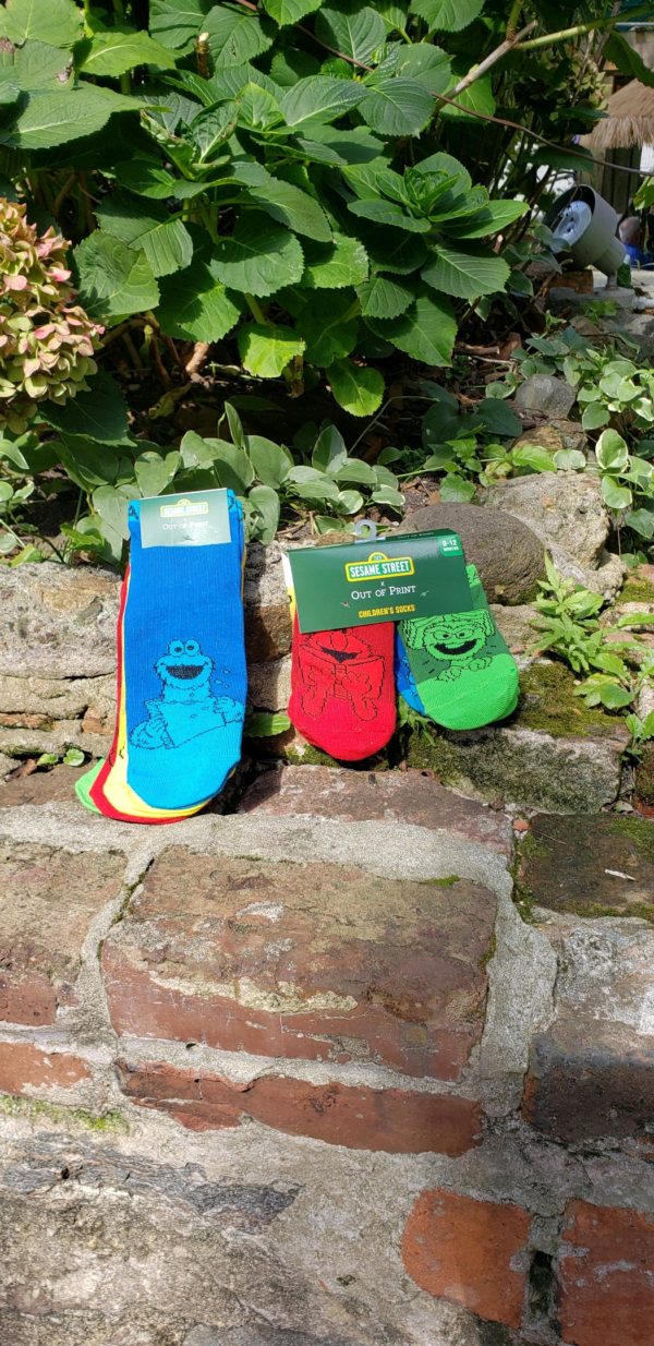 Sesame Street Socks (4 Pack)- Adult
