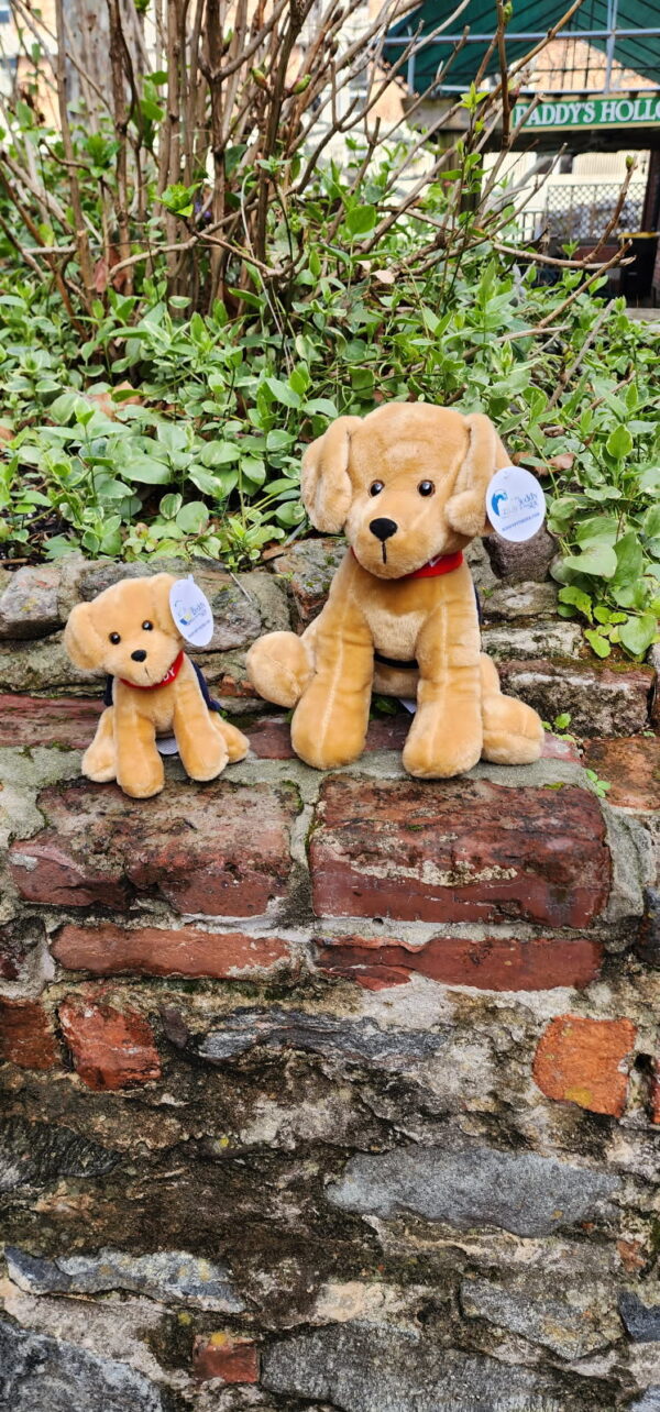 Buddy By The Sea Stuffed Animals